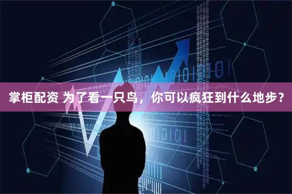 掌柜配资 为了看一只鸟，你可以疯狂到什么地步？