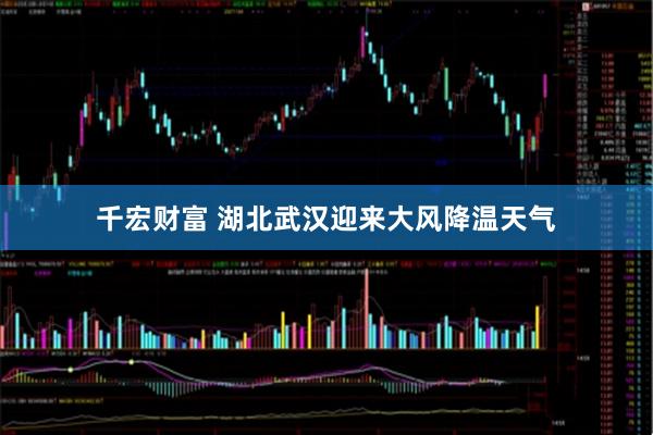 千宏财富 湖北武汉迎来大风降温天气