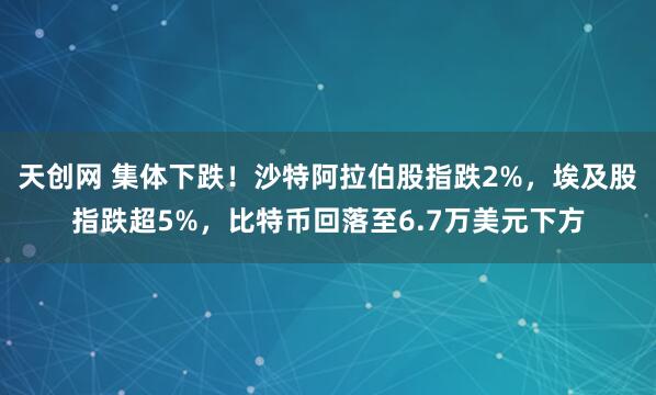 天创网 集体下跌！沙特阿拉伯股指跌2%，埃及股指跌超5%，比特币回落至6.7万美元下方